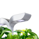 Véritable Exky SMART  - Automatický květináč s regulací osvětlení, bílá + 2 bylinkové náplně