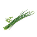 Véritable Lingot Pažitka - BIO