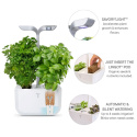 Véritable Exky SMART  - Automatický květináč s regulací osvětlení, bílá + 2 bylinkové náplně