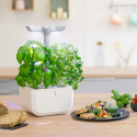 Véritable Exky SMART  - Automatický květináč s regulací osvětlení, bílá + 2 bylinkové náplně
