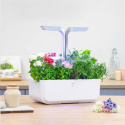 Véritable Lingot Flox