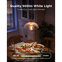Govee Smart žárovka G80 RGBWW 5W-40W 500lm E27 Long Life, Matter