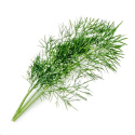 Véritable Lingot Kopr - BIO