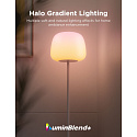 Govee Lantern RGBICWW stojací lampa, Matter