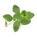 Véritable Lingot Petrželová nať - BIO
